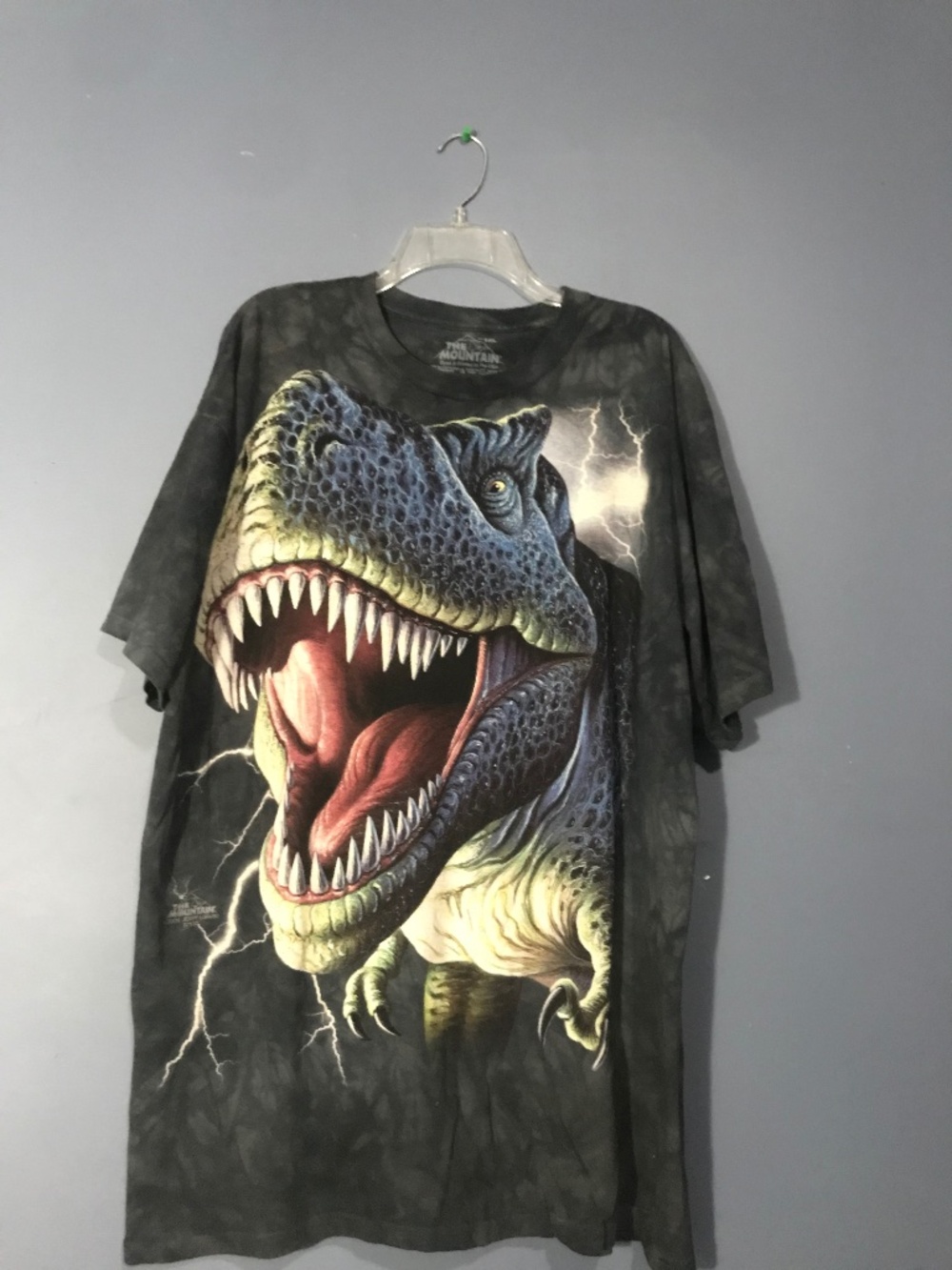 Dinosaur Tee